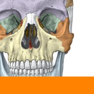 com.austrianapps.elsevier.sobotta logo