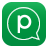 com.beint.pinngle logo