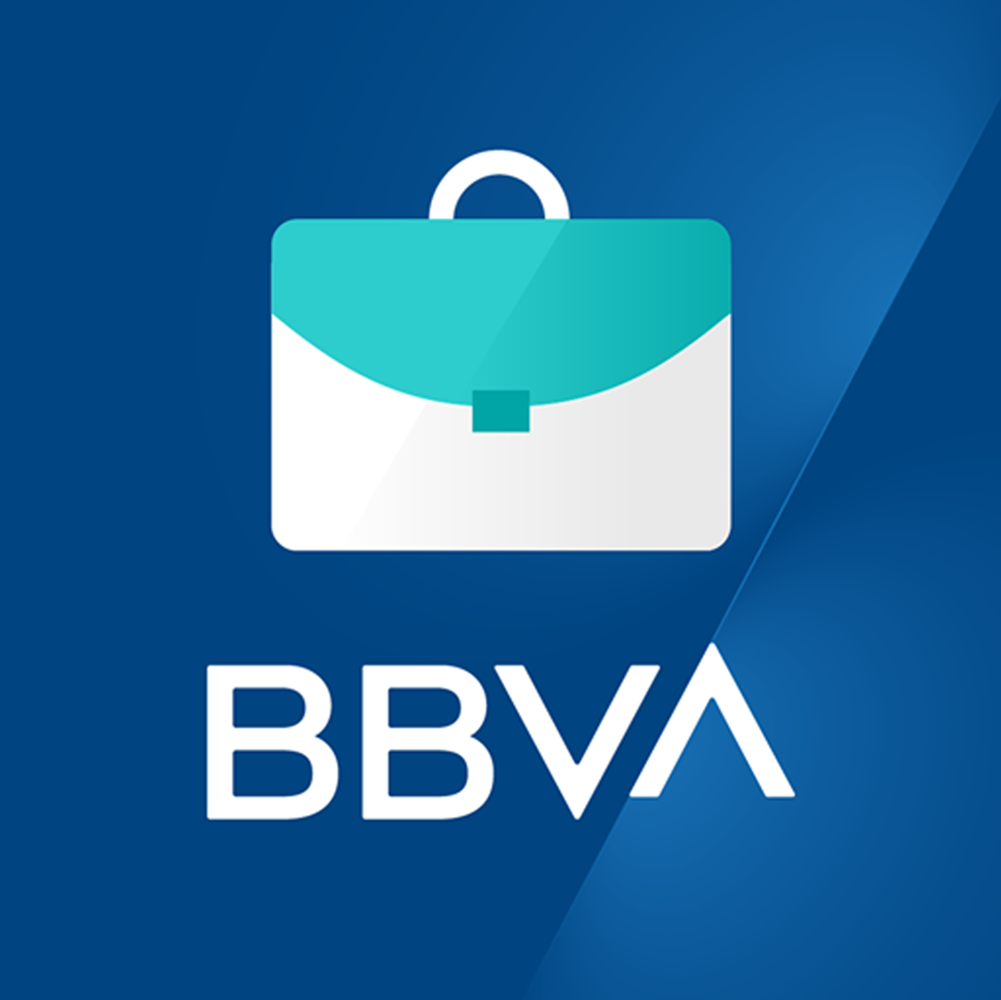 com.bbva.netcashar logo