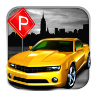 com.dumadugames.parking logo