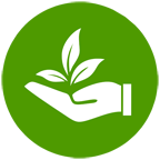 dssoft.com.infogarden logo