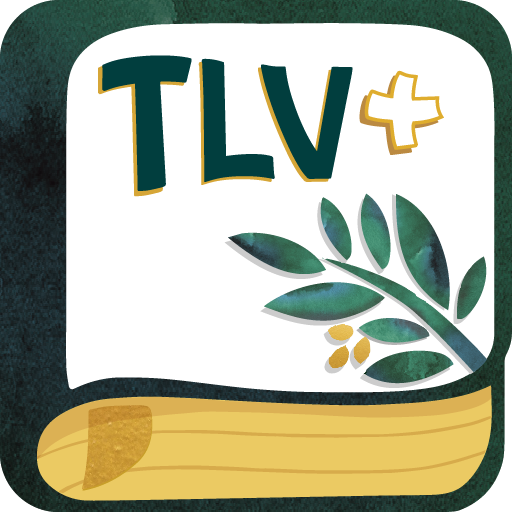 com.tlvsource logo