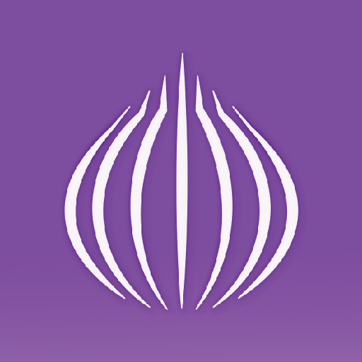 com.ornet.torbrowser logo