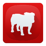 com.bullguard.mobile.mobilesecurity