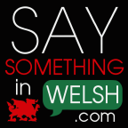 com.saysomethingin.welsh.app1