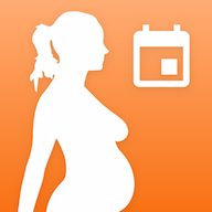 com.ecare.pregnancycalculator2