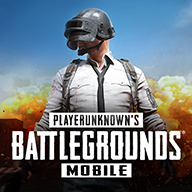 com.pubg.krmobile