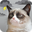 com.weathercreative.grumpycatweather