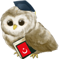 com.metalanguage.learnturkishfree