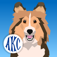 org.akc.AKCMathAgility