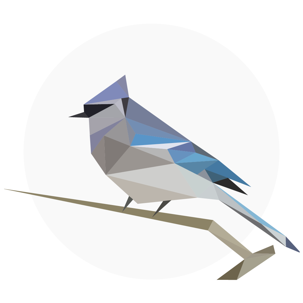 de.tu_chemnitz.mi.kahst.birdnet logo