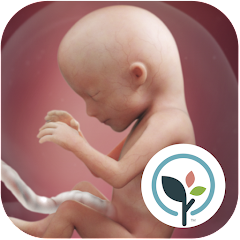 com.babycenter.pregnancytracker