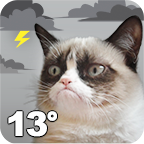 com.weathercreative.grumpycatweather