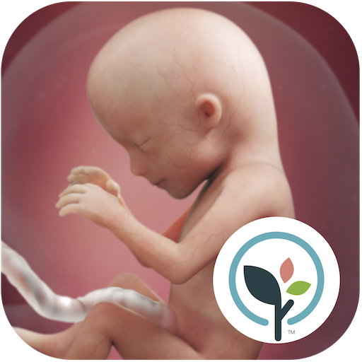 com.babycenter.pregnancytracker