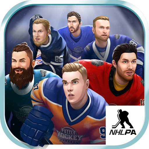 co.bluelinestudios.puzzlehockey