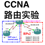 com.thdc.chunnanlin.ccna_lite