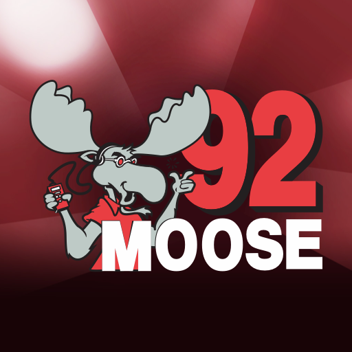 com.tsm.moose92