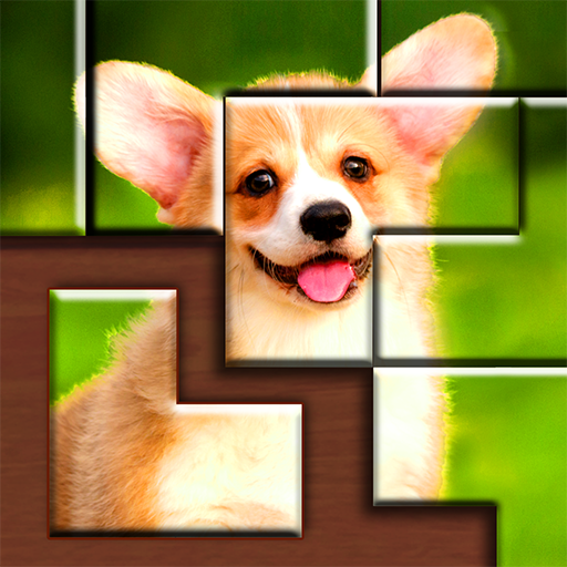 com.rvappstudios.tangram.jigsaw.puzzles.block.game