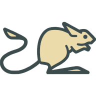 com.jerboa