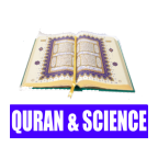 ummufahmi.android.quran_science_islam