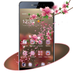 sakura.transparent.blossom.tema