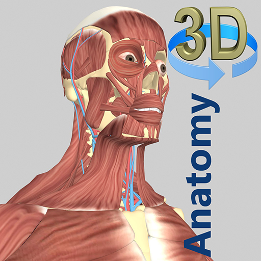 com.hssn.anatomy3d